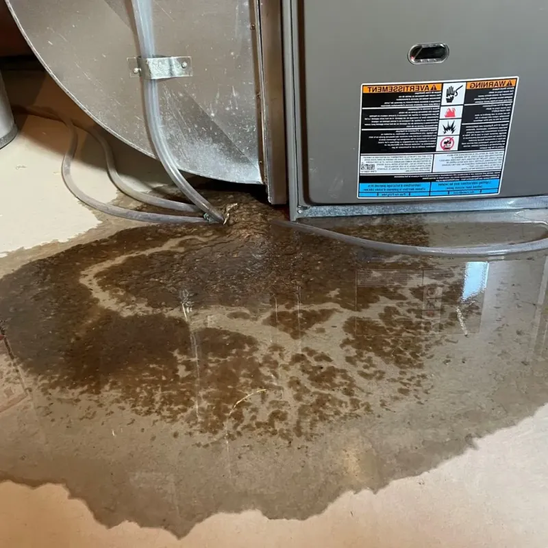 Pipe Burst and Leak Restoration in Atchison County, KS