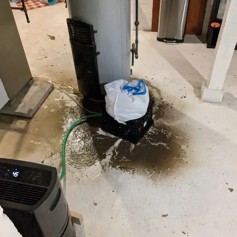 Sewage Backup Cleanup Service in Atchison County, KS